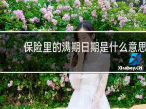 保险里的满期日期是什么意思