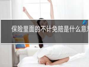 保险里面的不计免赔是什么意思