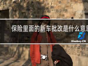保险里面的新车批改是什么意思