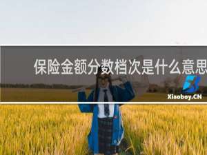 保险金额分数档次是什么意思