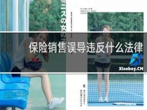 保险销售误导违反什么法律