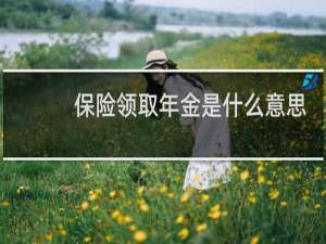 保险领取年金是什么意思