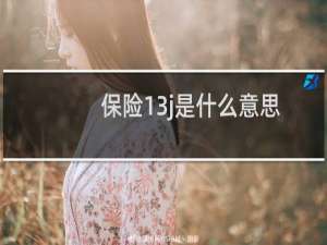 保险13j是什么意思