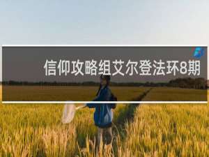 信仰攻略组艾尔登法环8期