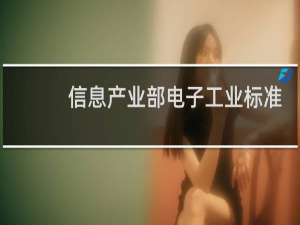 信息产业部电子工业标准化研究所