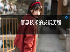 信息技术的发展历程