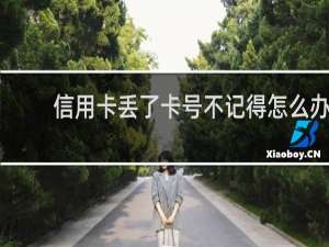 信用卡丢了卡号不记得怎么办