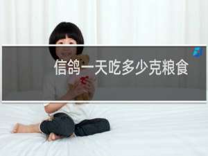 信鸽一天吃多少克粮食