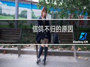 信鸽不归的原因