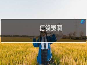 信鸽冤啊