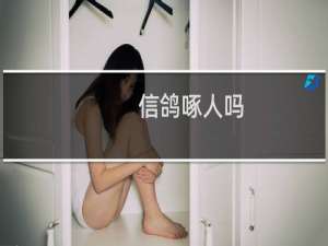 信鸽啄人吗