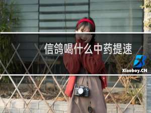 信鸽喝什么中药提速