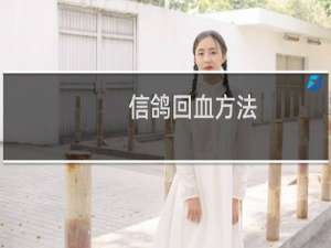 信鸽回血方法