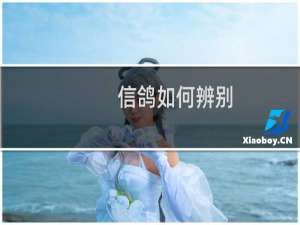 信鸽如何辨别