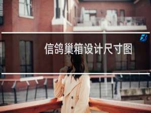 信鸽巢箱设计尺寸图