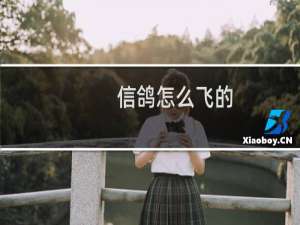 信鸽怎么飞的