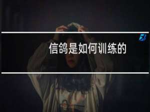 信鸽是如何训练的