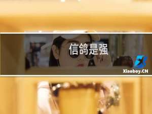 信鸽是强