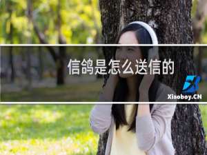 信鸽是怎么送信的