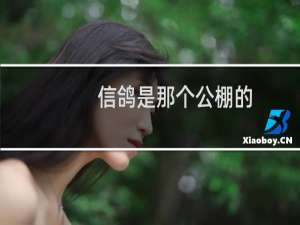 信鸽是那个公棚的