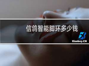 信鸽智能脚环多少钱
