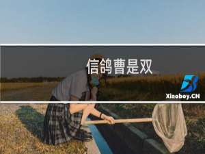 信鸽曹是双