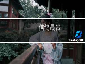 信鸽最贵
