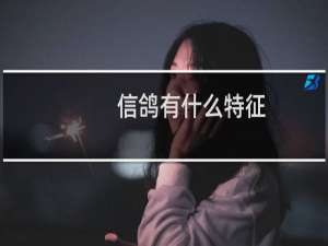 信鸽有什么特征