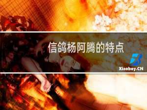 信鸽杨阿腾的特点