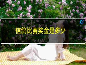 信鸽比赛奖金是多少