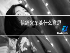 信鸽火车头什么意思