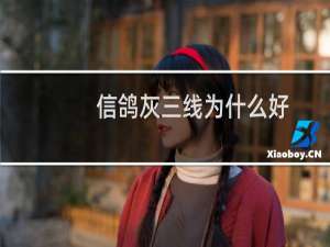 信鸽灰三线为什么好
