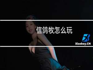 信鸽牧怎么玩