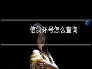 信鸽环号怎么查询