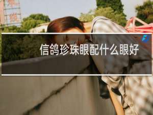 信鸽珍珠眼配什么眼好
