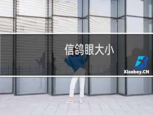 信鸽眼大小