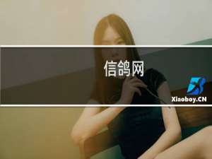 信鸽网