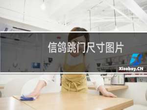 信鸽跳门尺寸图片