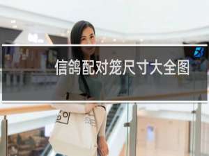 信鸽配对笼尺寸大全图