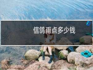 信鸽雨点多少钱