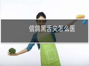 信鸽黑舌尖怎么医