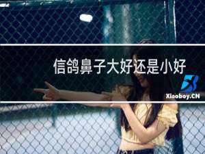 信鸽鼻子大好还是小好