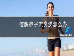 信鸽鼻子流鼻涕怎么办