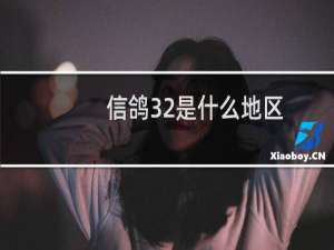 信鸽32是什么地区