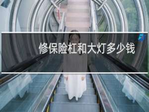 修保险杠和大灯多少钱