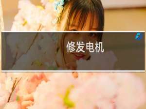 修发电机