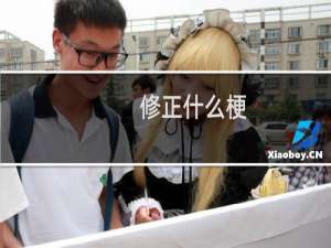 修正什么梗