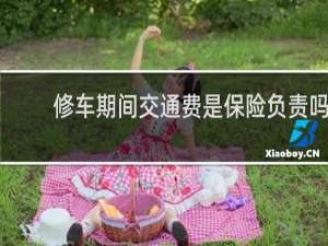 修车期间交通费是保险负责吗