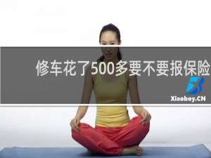 修车花了500多要不要报保险