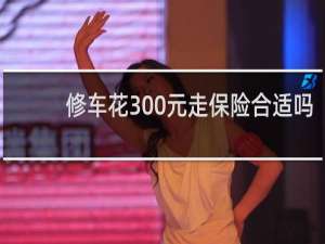 修车花300元走保险合适吗